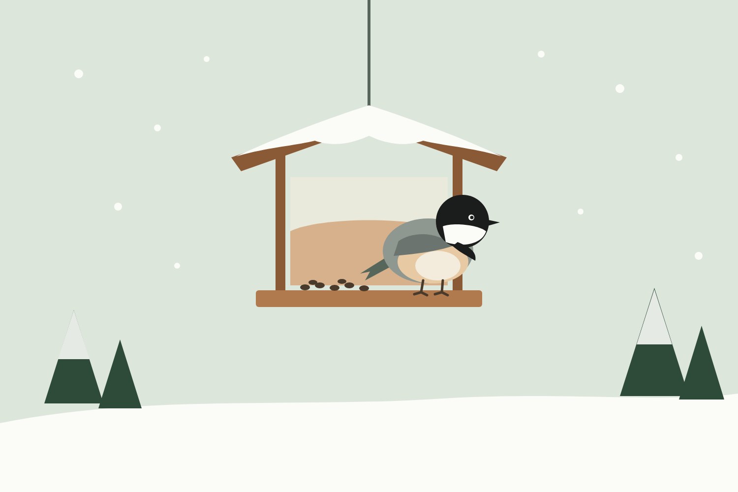 Winter Bird Feeding in Ontario: A Starter Checklist